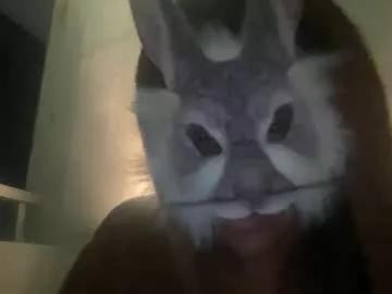 candybunnyxo from Chaturbate is Freechat