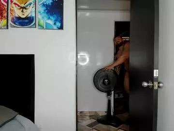 Discover bear webcams. Cute Free Performers.