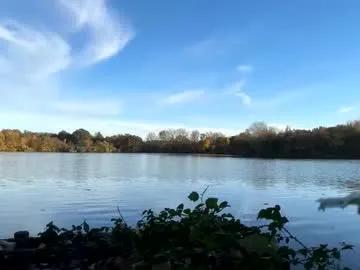 germanwankingman92 from Chaturbate is Freechat