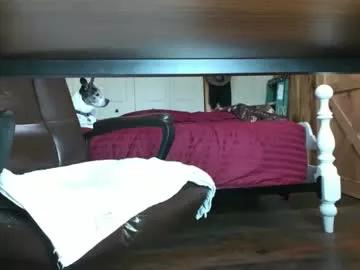 hornyoldman1955 from Chaturbate is Freechat