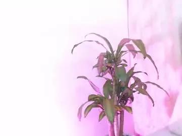 lily_meghan from Chaturbate is Freechat