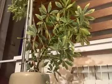 passiongirl7 from Chaturbate is Freechat