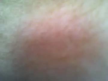 red_sea_bear from Chaturbate is Freechat