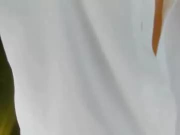 star_sub1 from Chaturbate is Freechat