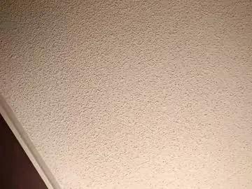 treedude303720 from Chaturbate is Freechat