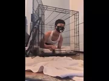 urlittleslut427128 from Chaturbate is Freechat