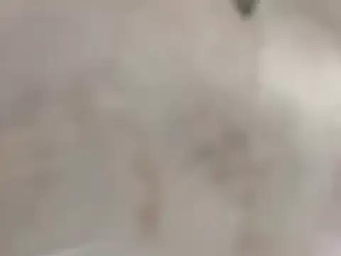 Cataleya_Kudo from StripChat is Freechat