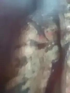 Jaanuteluguammaii from StripChat is Freechat