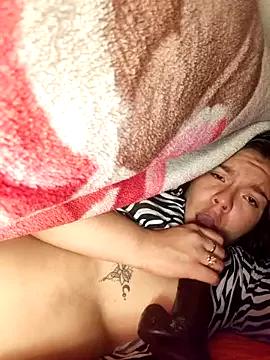 krolay16 from StripChat is Freechat