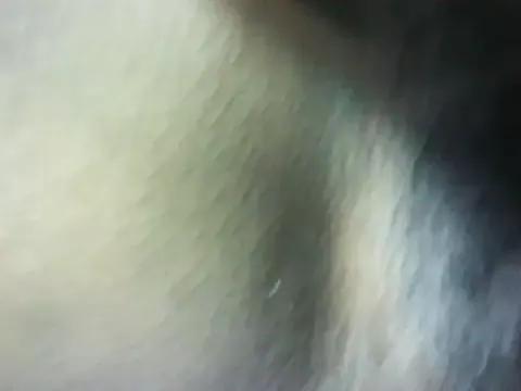 Sharlene777 from StripChat is Freechat