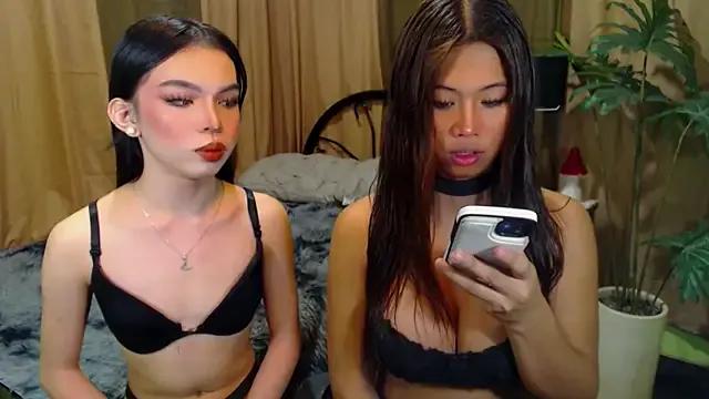 TWINKTRANSSHANEL from StripChat is Freechat