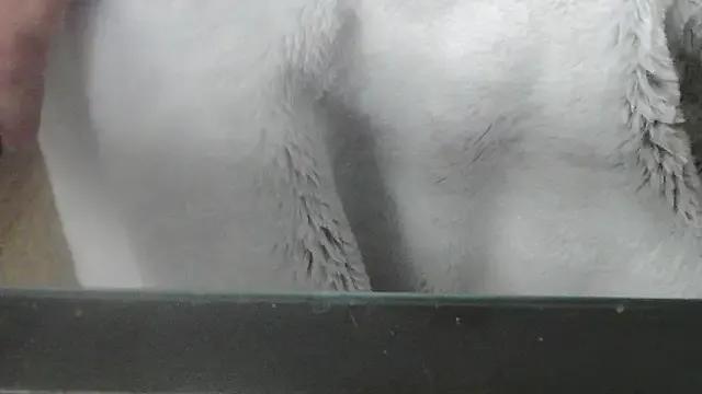 we_are_fucking_serious from StripChat is Freechat