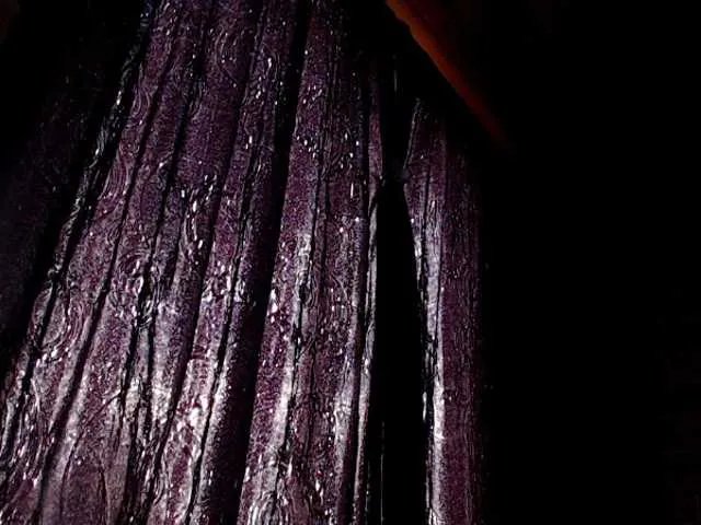 Offline AlexandrinaFenix on BongaCams