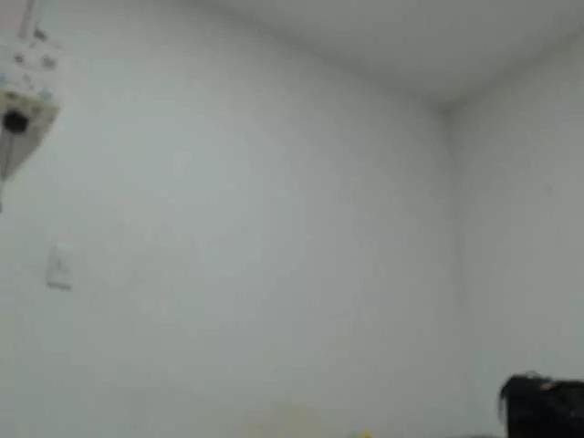 AlinaWoolf on BongaCams