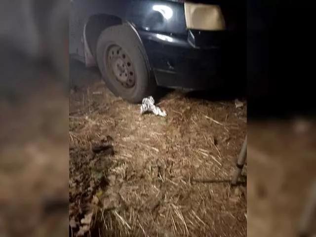 Freechat Artem29aAlisa29 on BongaCams