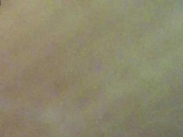 BongaCams BlondieGirl is Freechat BlondieGirl — Freechat on BongaCams