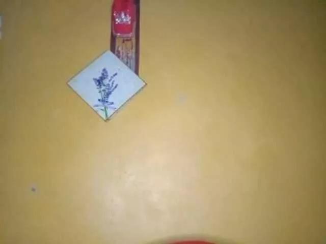 Offline CleavageKING on BongaCams