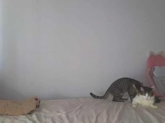 Freechat CrystalStarX on BongaCams