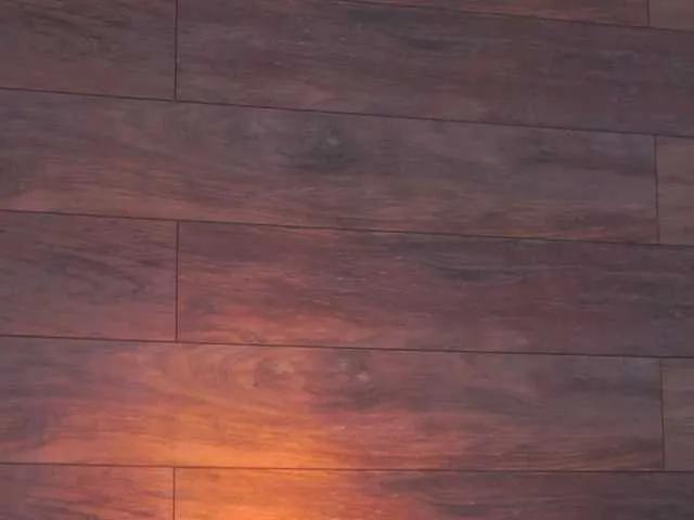 Freechat EllieRedd on BongaCams