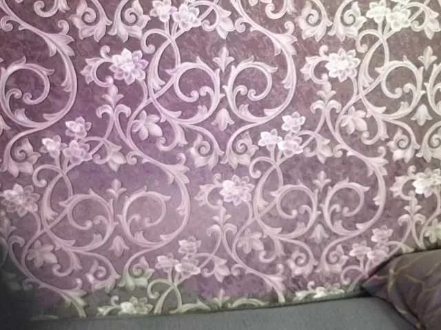 Offline Lola-Lush on BongaCams