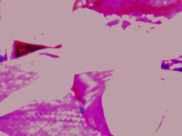 Offline LollyGirlMoon on BongaCams