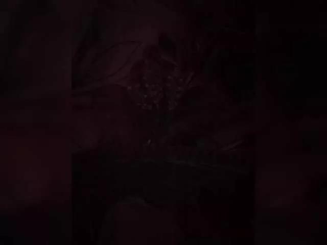 Offline MsLukeme on BongaCams