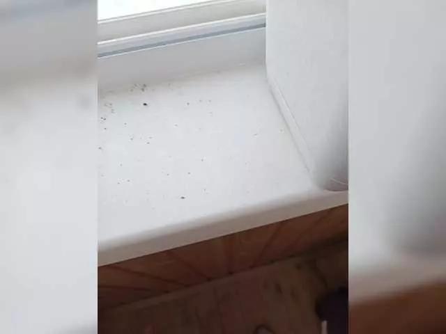 Offline Nikita9334 on BongaCams