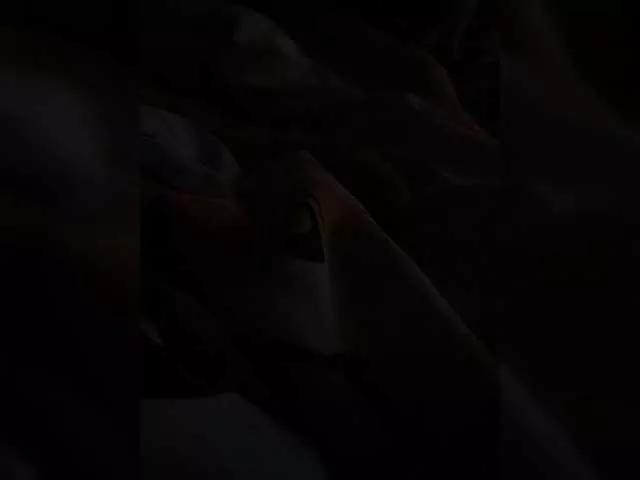 Offline Nikita9334 on BongaCams