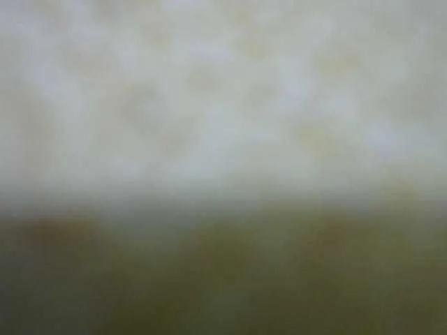 Freechat Queenfey on BongaCams