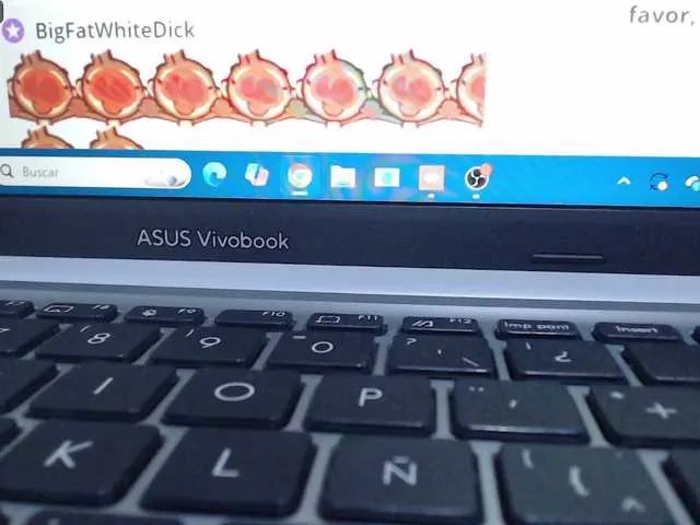 Offline SashaMacgrego on BongaCams