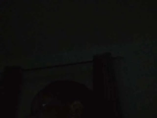 Freechat sexxybunny on BongaCams