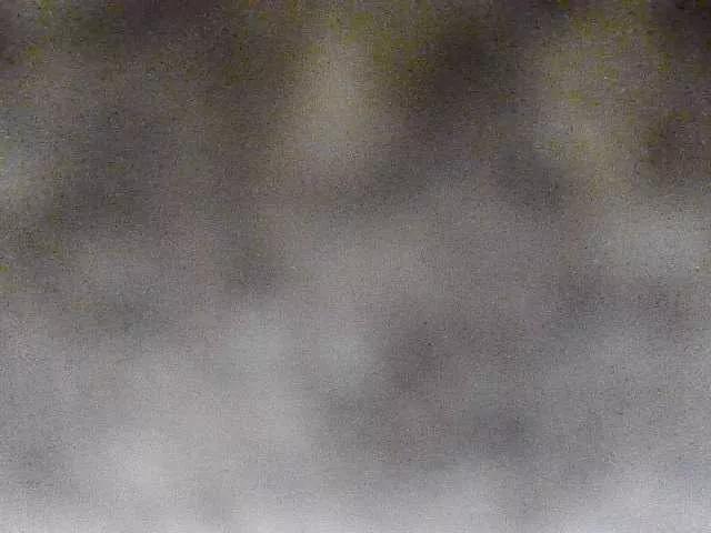 Avatar of VselenaSun402