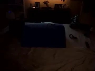 daddyontherd — Lovense: Interactive Toy that vibrates with your Tips #Lovense #Ohmibod #interactivetoy