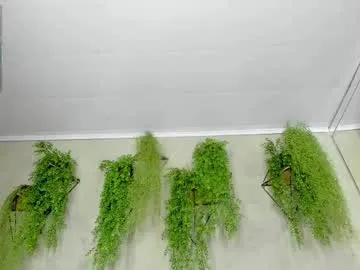 Freechat lana_lann on Chaturbate