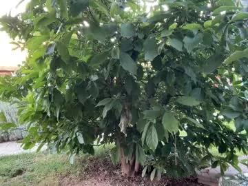 Freechat patry333 on Chaturbate