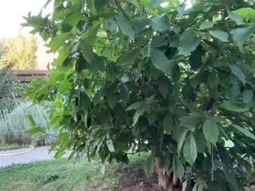 Freechat patry333 on Chaturbate