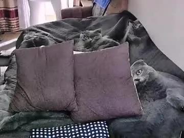 Freechat tviks on Chaturbate