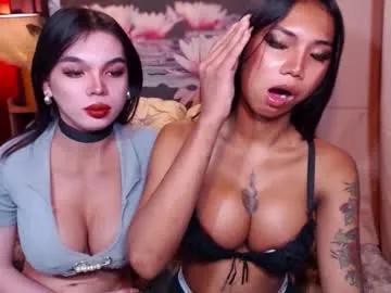 Freechat wildara on Chaturbate