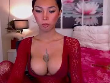 Freechat wildara on Chaturbate