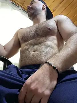 ADONIS_ART01 — HARD COCK