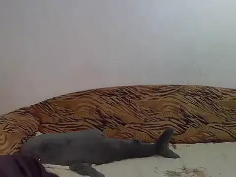 Aleksa_Blackdream —  DRINK SOMETHING 