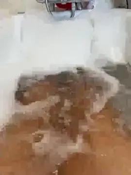 Freechat Anastasia-BlondeXX on StripChat