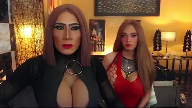 Freechat Asianbigcum on StripChat