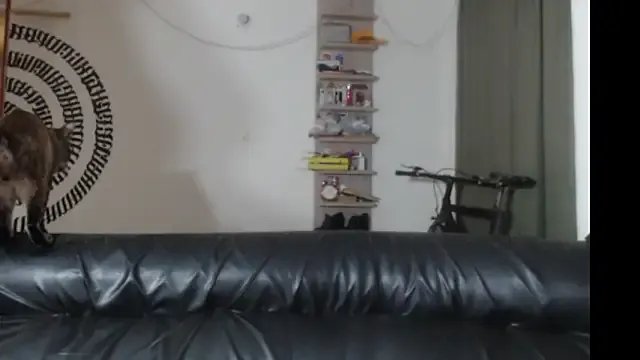 BeautyYoungblond — hot gama