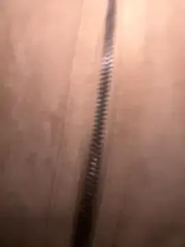 Avatar of FroggyAnna