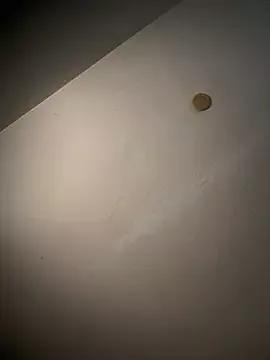 Avatar of Golden_Alex