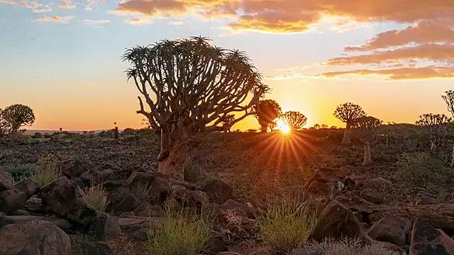 Freechat honeey_ on StripChat