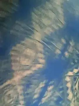 Private husa_Malikaa on StripChat