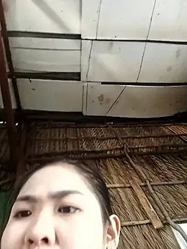 Lin-kute98 — Mc bn nc