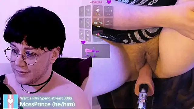 Freechat MossPrince on StripChat